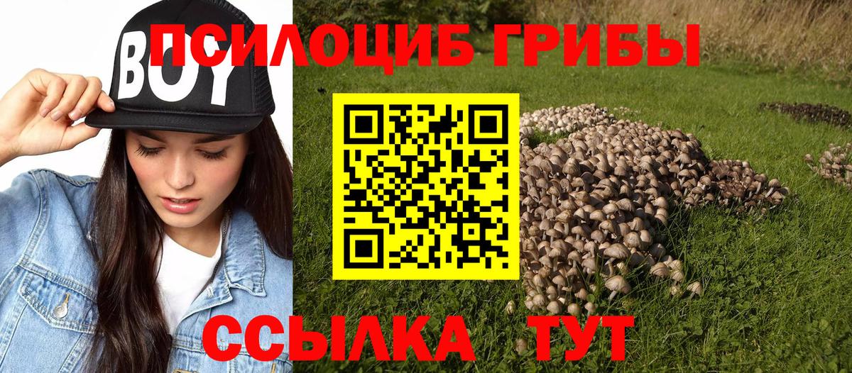 продажа наркотиков  Псилоцибиновые грибы мицелий  Вход с VPN  Бирск  Галлюциногенные грибы Cubensis 